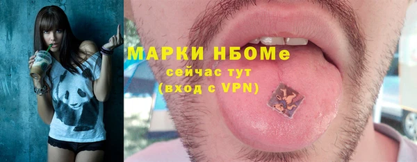 индика Вязьма