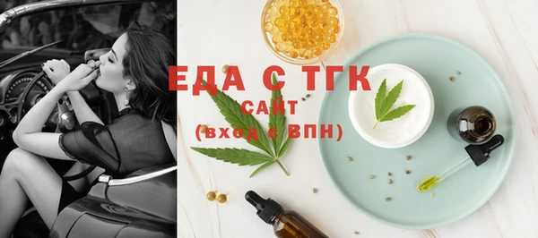 индика Вязьма