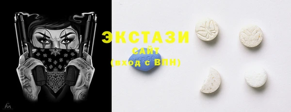 индика Вязьма