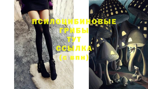 герыч Вяземский
