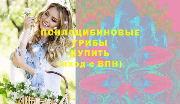 индика Вязьма