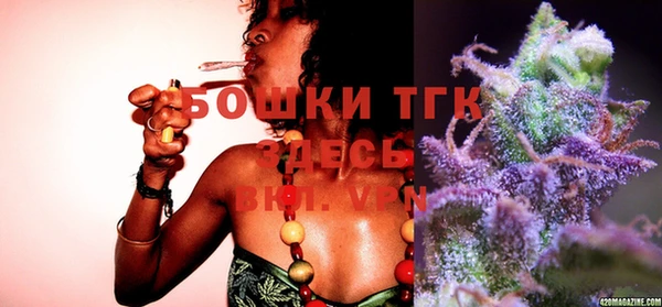 индика Вязьма