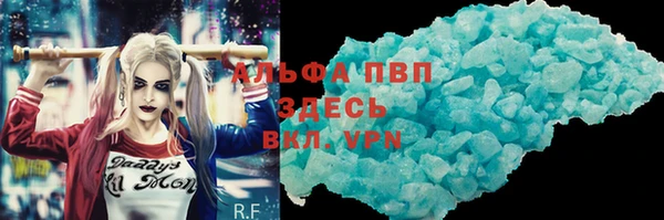 индика Вязьма