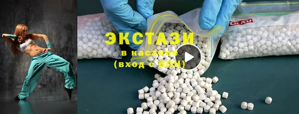 индика Вязьма