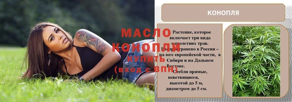 индика Вязьма